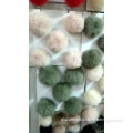 /msite/products/detail/productid/57922881/id/77354.html